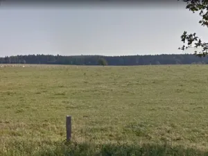 Dražba louky, Benešov, 9944 m2