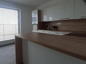 Pronájem bytu 3+kk, Olomouc, Frištenského, 110 m2