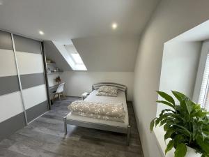 Prodej rodinného domu, Šardice, 300 m2