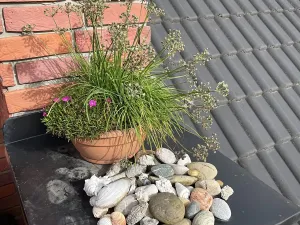 Prodej rodinného domu, Šardice, 300 m2