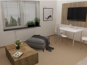 Pronájem bytu 1+kk, Čáslav - Čáslav-Nové Město, Boženy Němcové, 27 m2