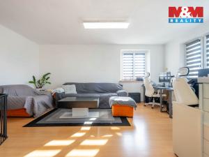 Prodej rodinného domu, Nechanice - Staré Nechanice, 236 m2