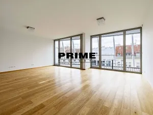 Pronájem bytu 4+kk, Praha - Smíchov, Holečkova, 174 m2
