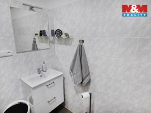 Pronájem bytu 1+kk, Plazy, 30 m2