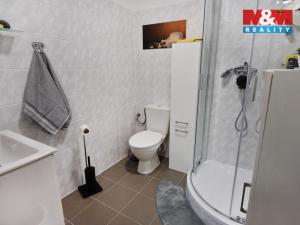 Pronájem bytu 1+kk, Plazy, 30 m2