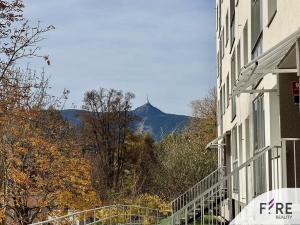 Prodej bytu 2+kk, Liberec - Liberec VI-Rochlice, Burianova, 42 m2