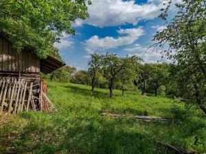 Prodej pozemku pro bydlení, Veliny, 3712 m2