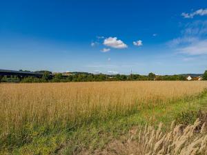Prodej komerčního pozemku, Bělotín, 9952 m2