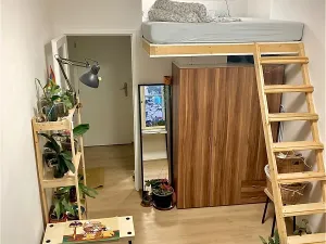 Pronájem bytu 1+kk, Praha - Vinohrady, Hradecká, 17 m2