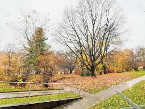 Pronájem bytu 1+1, Boskovice, Na Vyhlídce, 39 m2