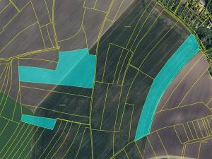 Prodej pole, Lovčice, 205582 m2