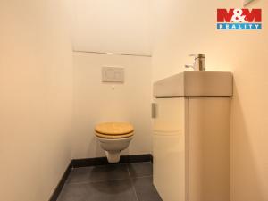 Pronájem rodinného domu, Petrovice, 200 m2