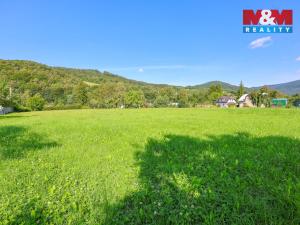 Prodej pozemku pro bydlení, Loučná nad Desnou - Kociánov, 8815 m2