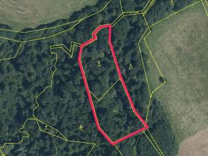 Prodej lesa, Český Těšín, 6540 m2