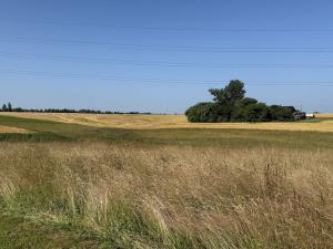 Pronájem louky, Ostrava - Polanka nad Odrou, K Lípě, 9850 m2