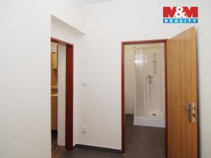 Pronájem bytu 1+kk, Ostrava - Přívoz, Chopinova, 31 m2