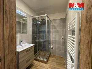 Pronájem bytu 1+kk, Brandýs nad Labem-Stará Boleslav - Brandýs nad Labem, 30 m2