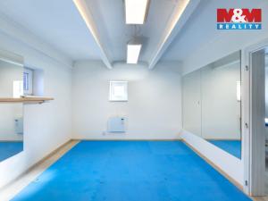 Pronájem obchodního prostoru, Louny, Josefa Schovánka, 50 m2