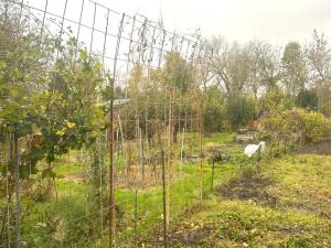 Prodej chaty, Nymburk, 15 m2