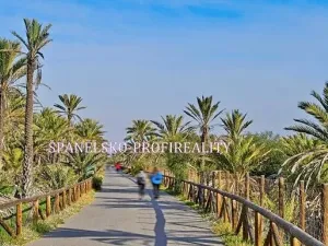 Prodej bytu 2+kk, Guardamar del Segura, Španělsko, 50 m2