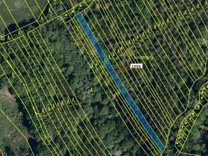 Dražba lesa, Kelníky, 1069 m2