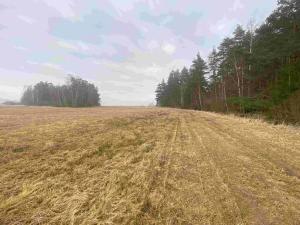 Dražba louky, Hospříz, 7435 m2