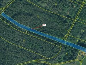 Dražba lesa, Jesenice, 2895 m2