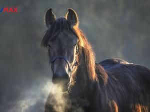 Prodej rodinného domu, Dětmarovice, 97 m2