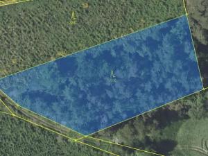 Prodej lesa, Louňovice pod Blaníkem, 4560 m2