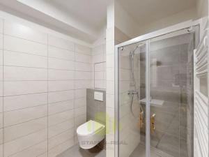 Pronájem bytu 1+kk, Olomouc, Camilla Sitteho, 34 m2