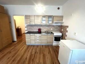 Pronájem bytu 1+kk, Olomouc, Družební, 30 m2