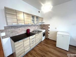 Pronájem bytu 1+kk, Olomouc, Družební, 30 m2