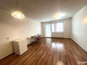 Pronájem bytu 1+kk, Olomouc, Družební, 30 m2
