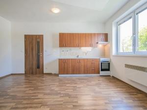 Pronájem bytu 1+kk, Olomouc, Edisonova, 35 m2