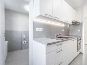 Pronájem bytu 2+1, České Budějovice, Lidická tř., 52 m2