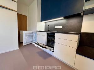 Pronájem bytu 1+kk, Brno, Peroutková, 25 m2