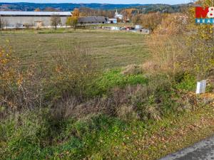 Prodej pozemku pro bydlení, Hošťka, 1622 m2