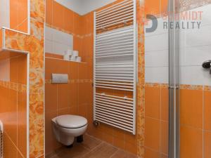 Prodej bytu 4+1, Brno, Drobného, 158 m2