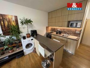 Pronájem bytu 1+kk, Strakonice - Přední Ptákovice, Šumavská, 26 m2