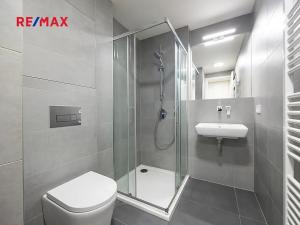 Pronájem bytu 1+kk, Beroun, Na Parkáně, 40 m2