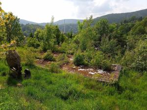 Prodej pozemku pro bydlení, Desná, Hutní, 2111 m2