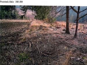 Prodej lesa, Kamenice nad Lipou, 5521 m2