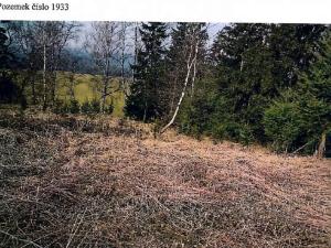 Prodej lesa, Kamenice nad Lipou, 5521 m2