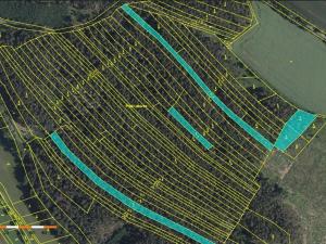 Prodej lesa, Dolní Vilémovice, 9629 m2