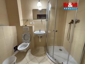 Pronájem bytu 2+kk, Plzeň, Hálkova, 58 m2