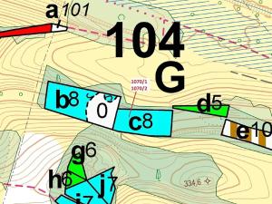 Dražba lesa, Kněžnice, 2271 m2