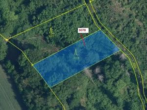 Dražba lesa, Benešov u Semil, 1110 m2