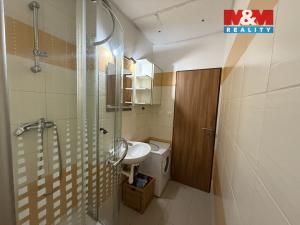 Pronájem bytu 3+1, Praha - Žižkov, Sladkovského náměstí, 53 m2