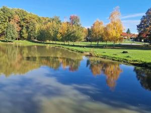 Prodej pozemku pro bydlení, Černé Voděrady, 1775 m2