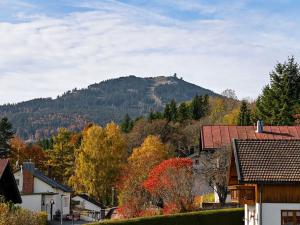 Prodej bytu 3+kk, Železná Ruda, 55 m2